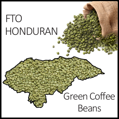 FTO Honduran Green Beans, 1lb