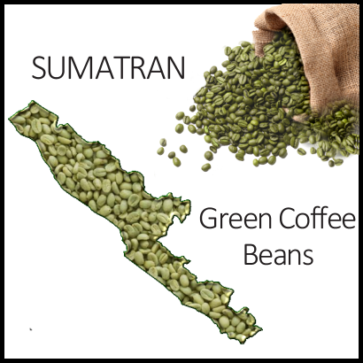 Sumatran Green Beans, 1lb