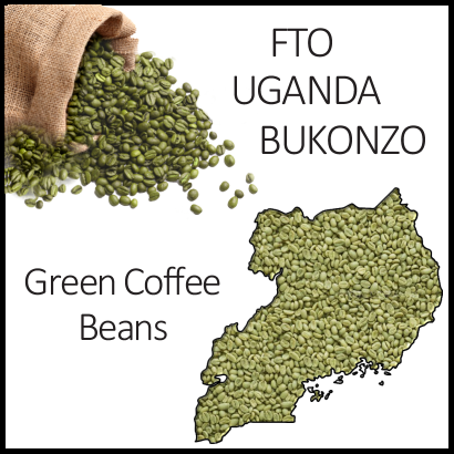 FTO Uganda Bukonzo, Green Beans, 1lb